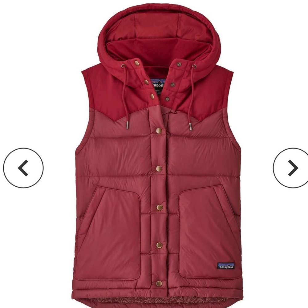 Patagonia Bivy hooded vest NWT